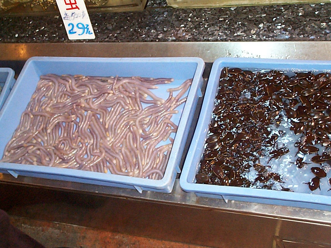 How I almost ate a worm.